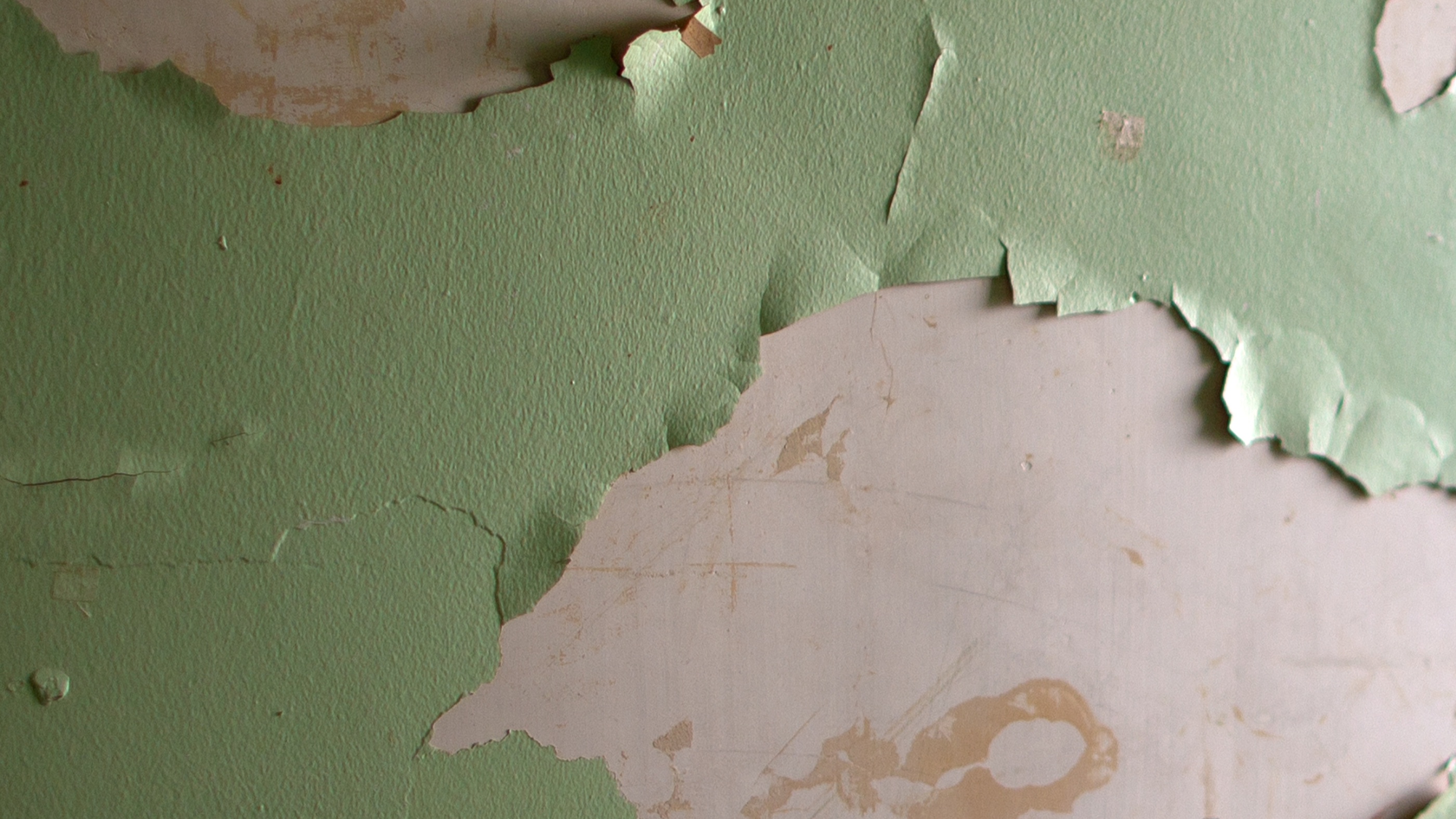 Lead Paint Test Requirements - Avoid Fines & Stay Legal